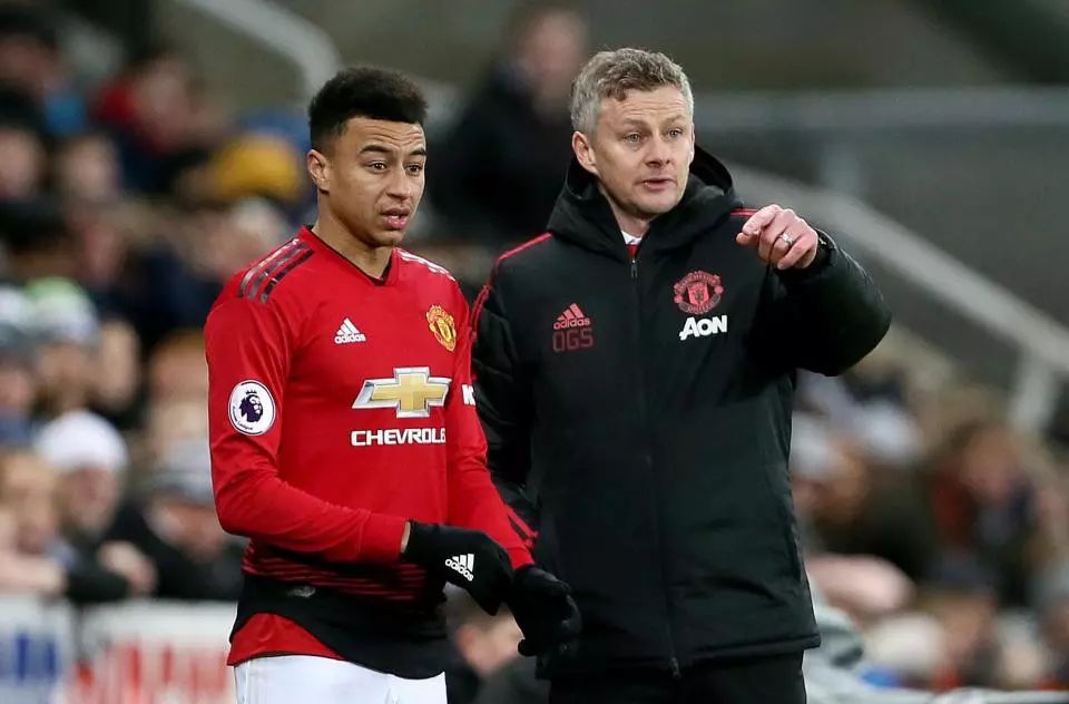 他们的到来 他们的到来